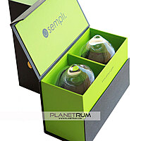 Sempli Cupa Glasses & Wood Holder By Daniele "Danne" Semeraro