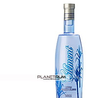 Clément Canne Bleue 2011